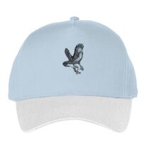 Classic 5-panel snapback (6007) Vignette