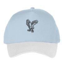 Classic 5-panel snapback (6007) Vignette