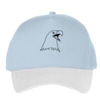 Classic 5-panel snapback (6007) Vignette