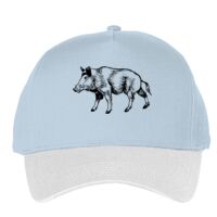 Classic 5-panel snapback (6007) Vignette