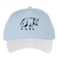 Classic 5-panel snapback (6007) Vignette