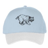 Classic 5-panel snapback (6007) Vignette