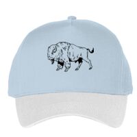 Classic 5-panel snapback (6007) Vignette