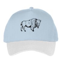 Classic 5-panel snapback (6007) Vignette