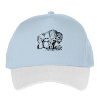 Classic 5-panel snapback (6007) Vignette