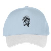 Classic 5-panel snapback (6007) Vignette