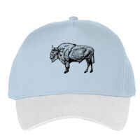 Classic 5-panel snapback (6007) Vignette