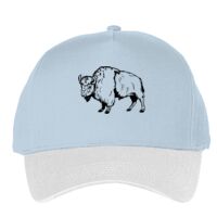 Classic 5-panel snapback (6007) Vignette