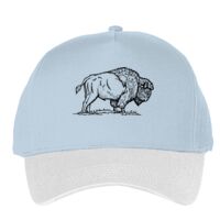 Classic 5-panel snapback (6007) Vignette