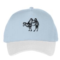 Classic 5-panel snapback (6007) Vignette