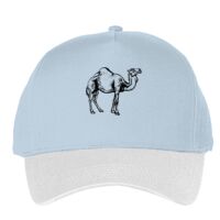 Classic 5-panel snapback (6007) Vignette