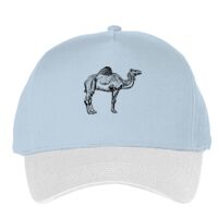 Classic 5-panel snapback (6007) Vignette