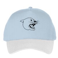 Classic 5-panel snapback (6007) Vignette