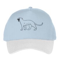 Classic 5-panel snapback (6007) Vignette