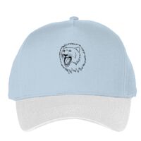 Classic 5-panel snapback (6007) Vignette