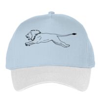 Classic 5-panel snapback (6007) Vignette