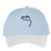 Classic 5-panel snapback (6007) Vignette