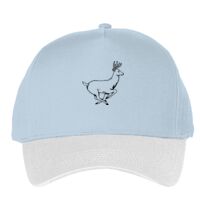 Classic 5-panel snapback (6007) Vignette