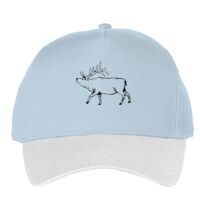 Classic 5-panel snapback (6007) Vignette