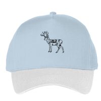 Classic 5-panel snapback (6007) Vignette