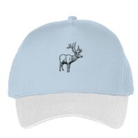 Classic 5-panel snapback (6007) Vignette