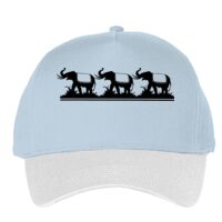 Classic 5-panel snapback (6007) Vignette