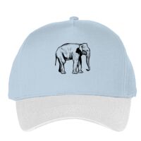 Classic 5-panel snapback (6007) Vignette