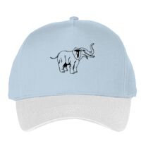 Classic 5-panel snapback (6007) Vignette