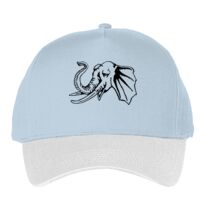 Classic 5-panel snapback (6007) Vignette