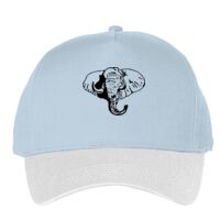 Classic 5-panel snapback (6007) Vignette