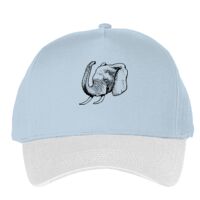 Classic 5-panel snapback (6007) Vignette