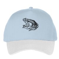 Classic 5-panel snapback (6007) Vignette
