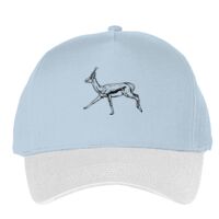 Classic 5-panel snapback (6007) Vignette