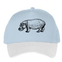 Classic 5-panel snapback (6007) Vignette