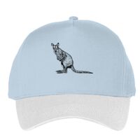 Classic 5-panel snapback (6007) Vignette