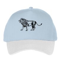 Classic 5-panel snapback (6007) Vignette