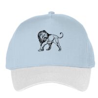 Classic 5-panel snapback (6007) Vignette