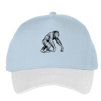 Classic 5-panel snapback (6007) Vignette