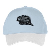 Classic 5-panel snapback (6007) Vignette