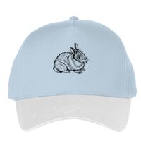 Classic 5-panel snapback (6007) Vignette