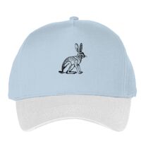 Classic 5-panel snapback (6007) Vignette