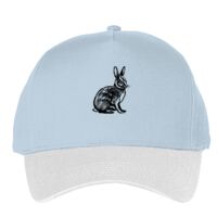 Classic 5-panel snapback (6007) Vignette