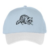 Classic 5-panel snapback (6007) Vignette