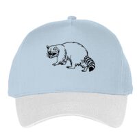 Classic 5-panel snapback (6007) Vignette