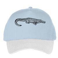 Classic 5-panel snapback (6007) Vignette