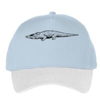 Classic 5-panel snapback (6007) Vignette