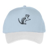 Classic 5-panel snapback (6007) Vignette