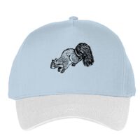 Classic 5-panel snapback (6007) Vignette