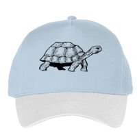 Classic 5-panel snapback (6007) Vignette