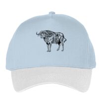 Classic 5-panel snapback (6007) Vignette